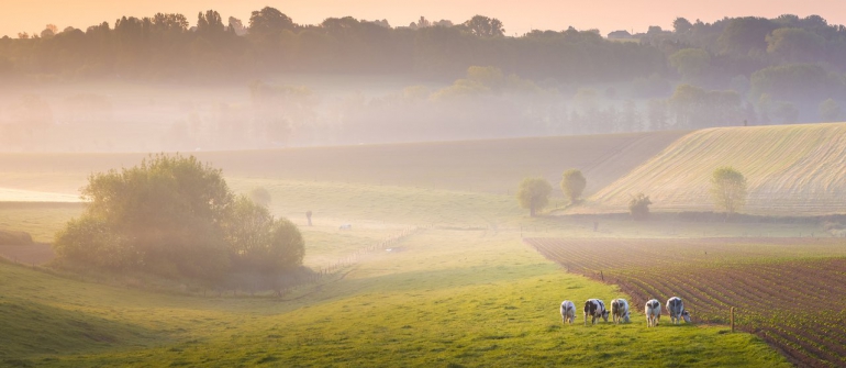 De Vlaamse Ardennen