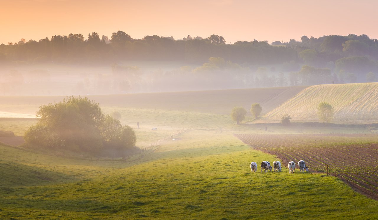 De Vlaamse Ardennen