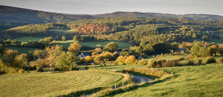 De Vlaamse Ardennen