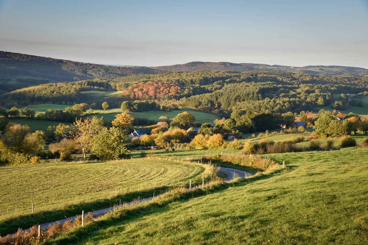 De Vlaamse Ardennen