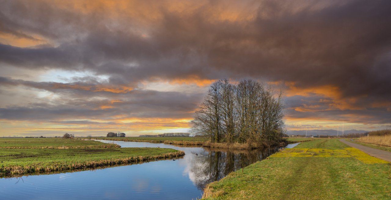 Het Meetjesland, betaalbaar wonen en zalig genieten in een  prachtig kreken- en poldergebied.