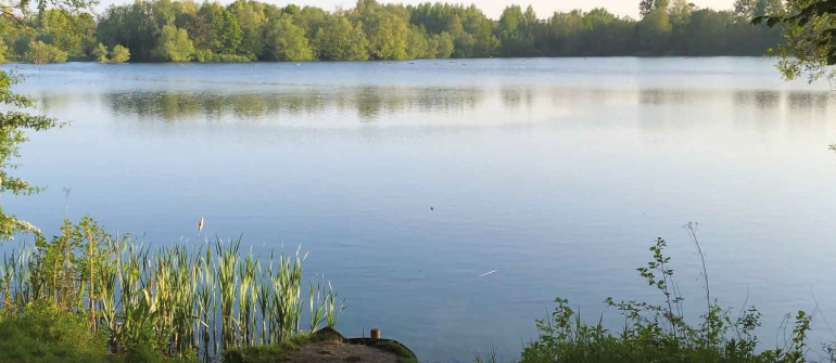 Landelijk wonen vlakbij Gent, ontdek het ‘Land van R(h)ode’