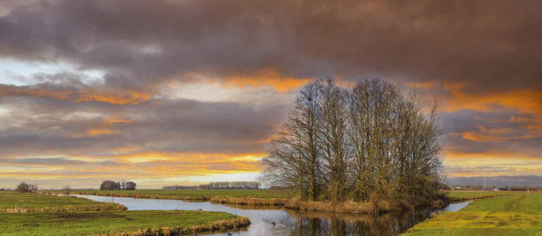 Wonen in het Meetjesland, een groene oase van rust vlakbij Gent.