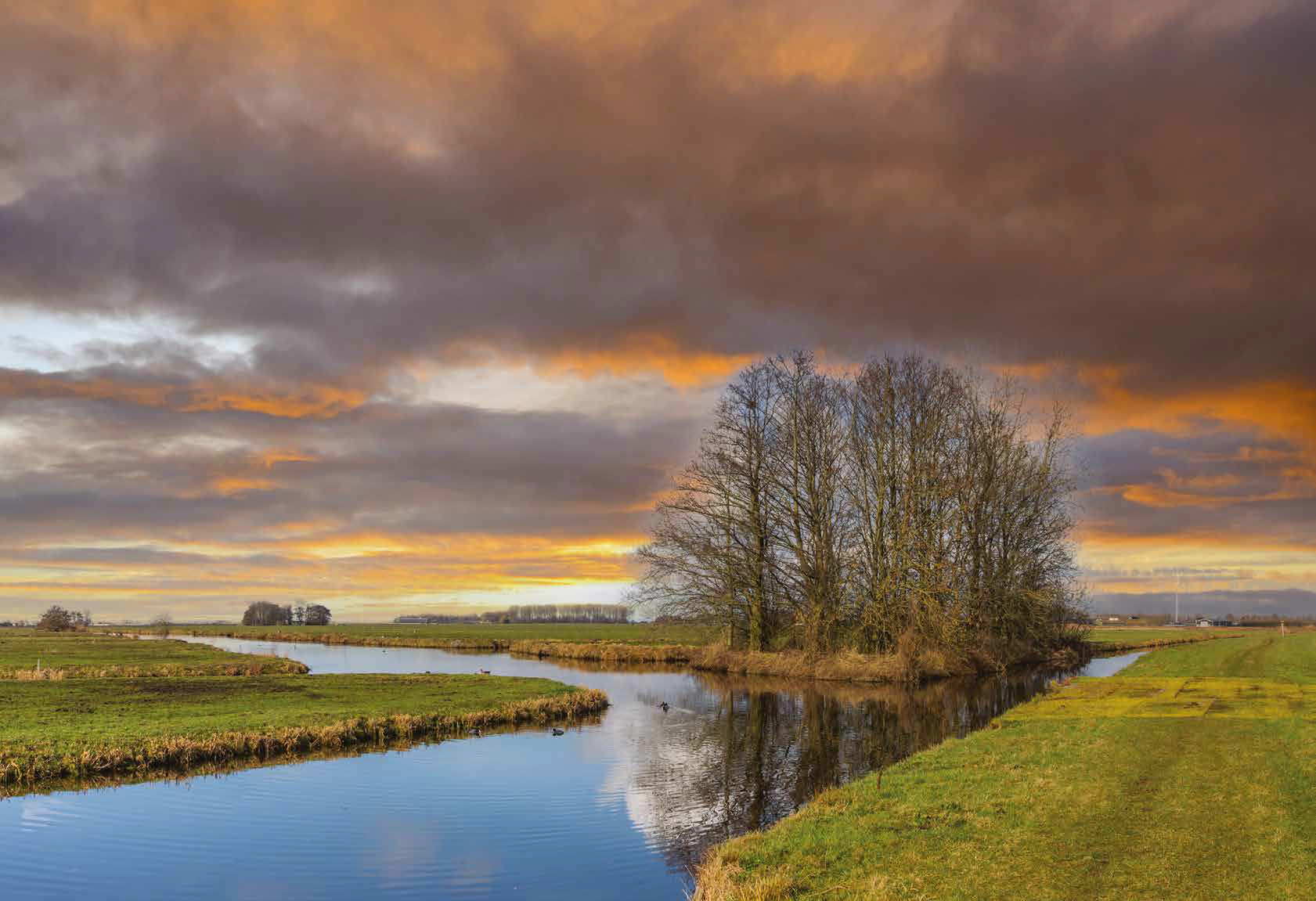 Wonen in het Meetjesland, een groene oase van rust vlakbij Gent.