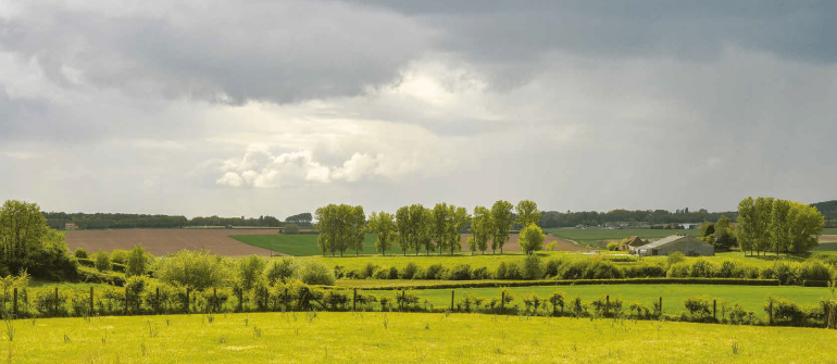 Zuid West-Vlaanderen Wonen in een bruisende regio