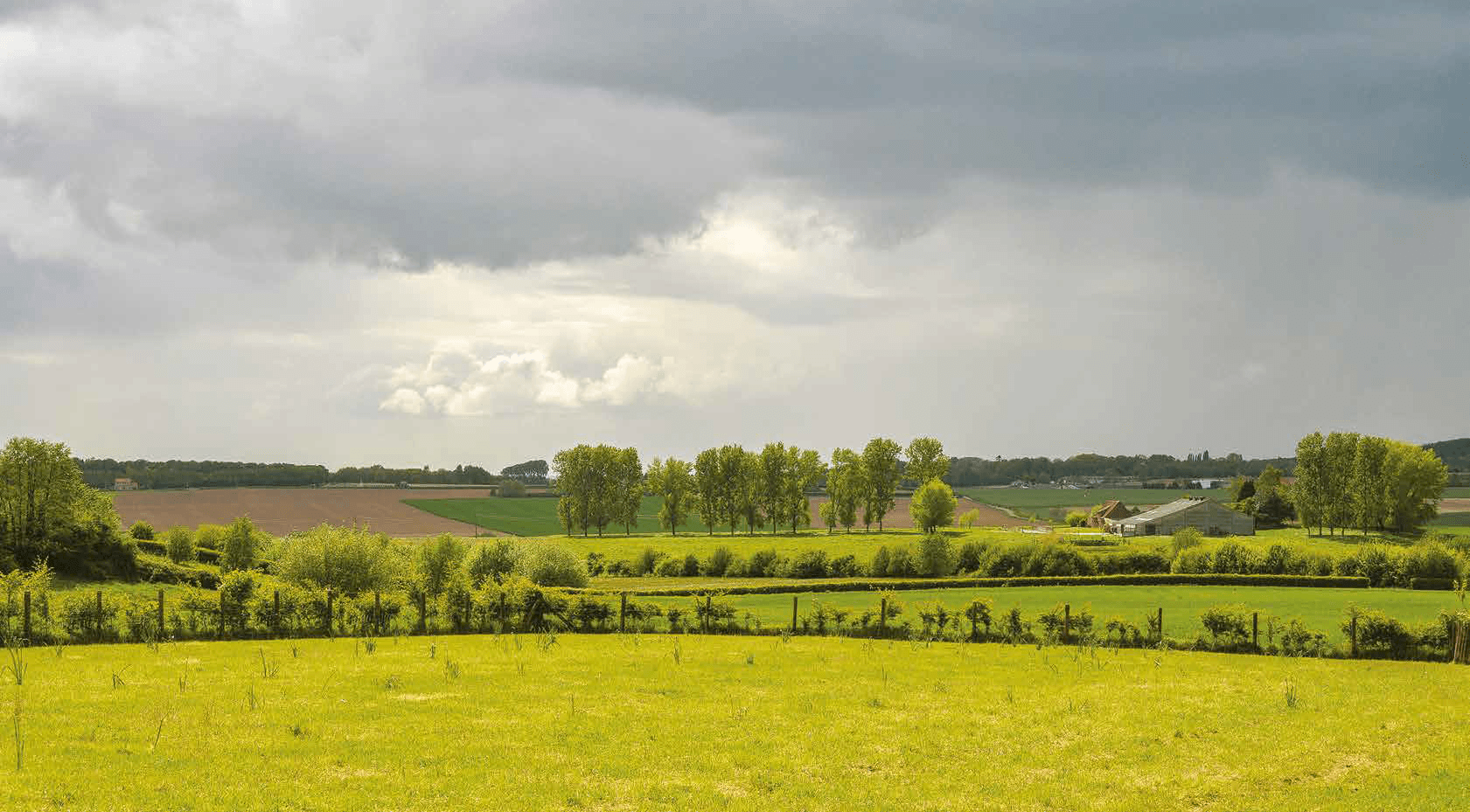 Zuid West-Vlaanderen Wonen in een bruisende regio cover