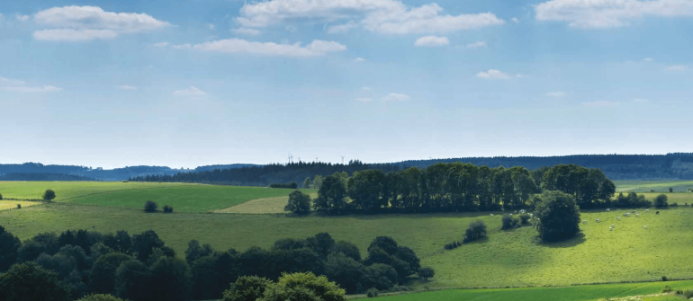 De Vlaamse Ardennen, wonen in de groene long van Vlaanderen
