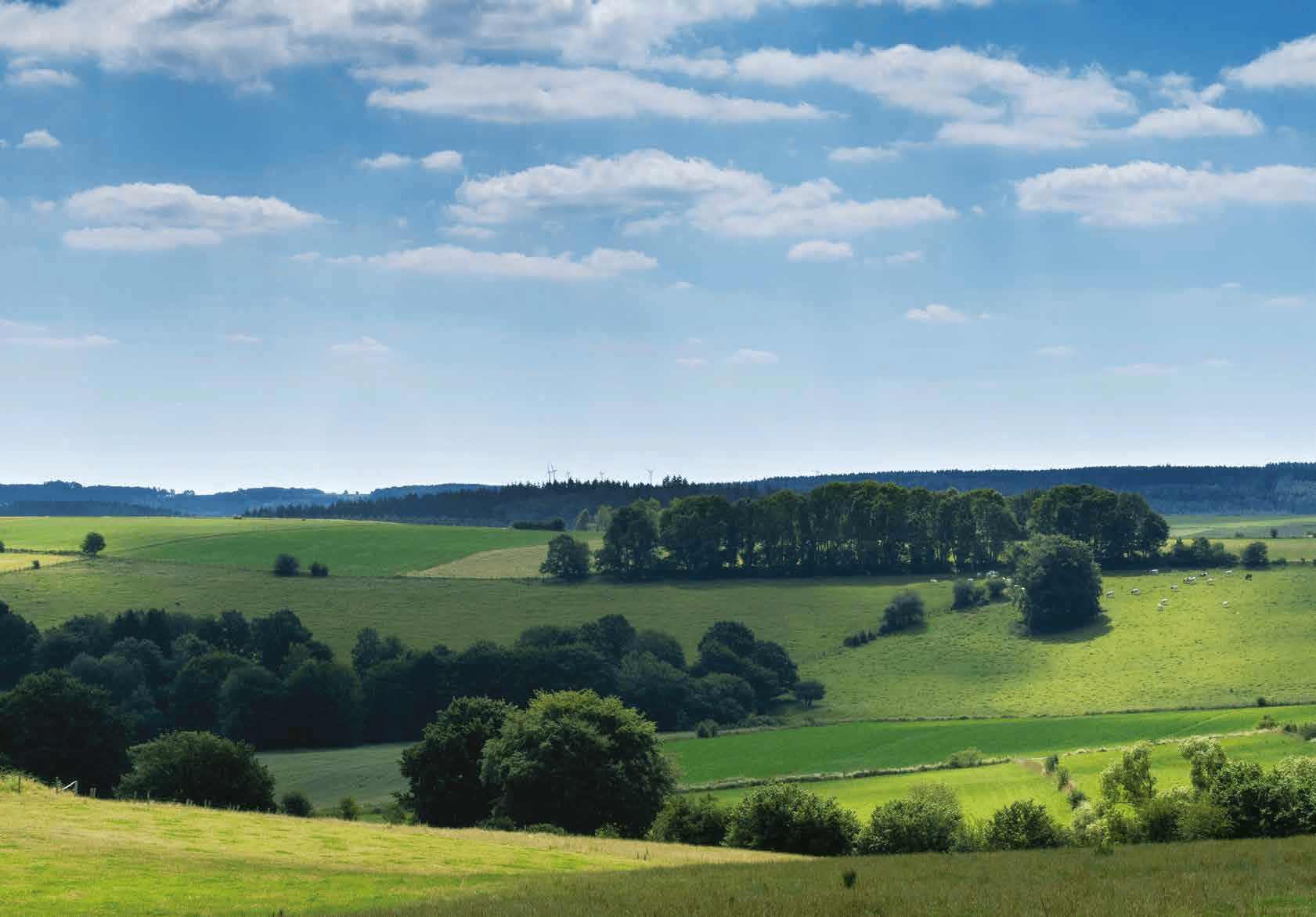 De Vlaamse Ardennen, wonen in de groene long van Vlaanderen cover