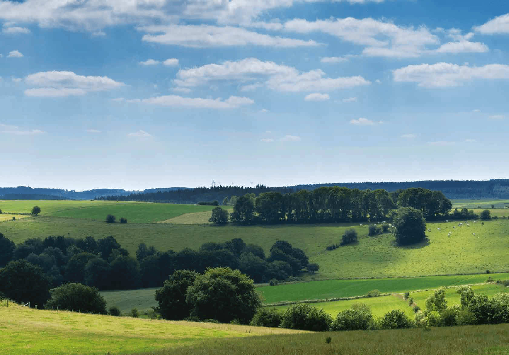 De Vlaamse Ardennen, wonen in de groene long van Vlaanderen