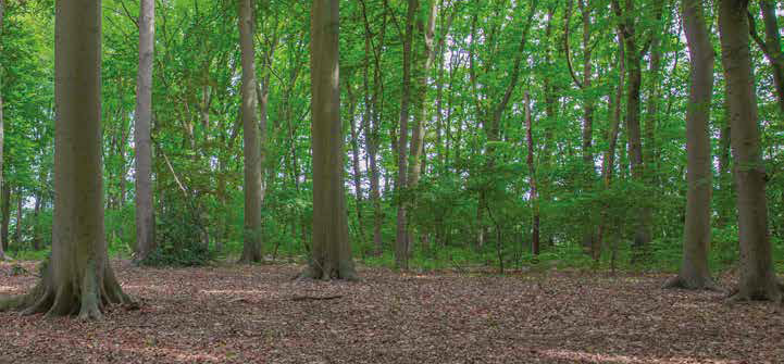 Zalig en rustiek wonen in het Meetjesland