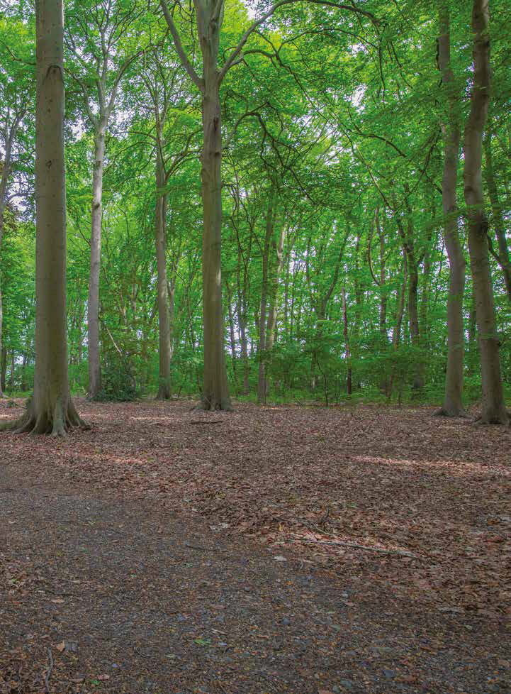 Zalig en rustiek wonen in het Meetjesland