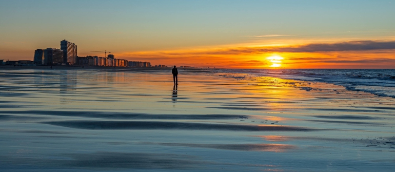 Harmonie tussen natuur, wonen en leven, transformatie van de Belgische kust