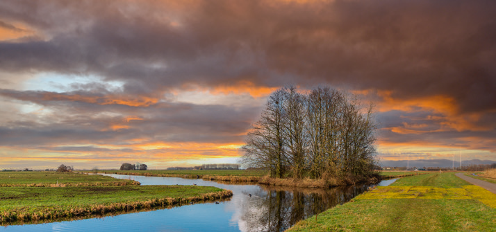Wonen in het Meetjesland, ruimte, rust en rendement
