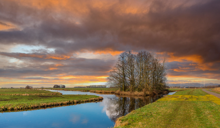 Wonen in het Meetjesland, ruimte, rust en rendement cover
