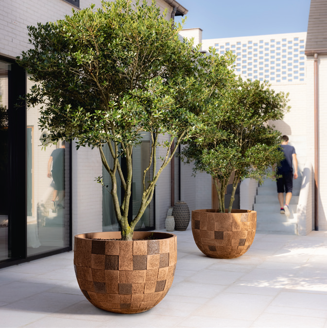 Project bonhommes bij rechts van de kerk cover