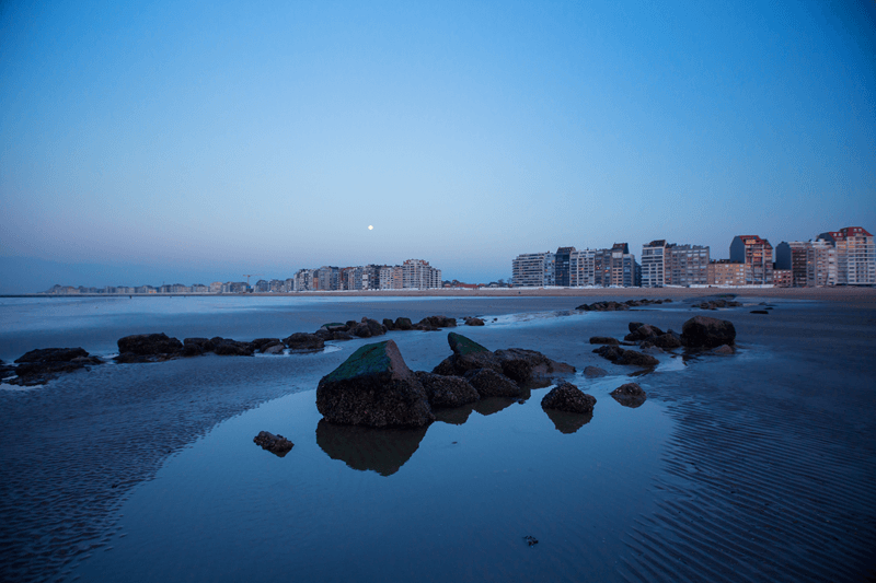 De kust van morgen. Wonen, leven en investeren met uitzicht. cover