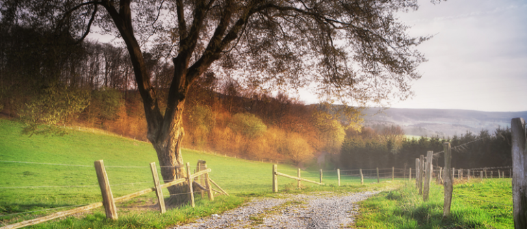 Vastgoed in de Vlaamse Ardennen. Tussen stilte, stijl en de charme van het buitenleven