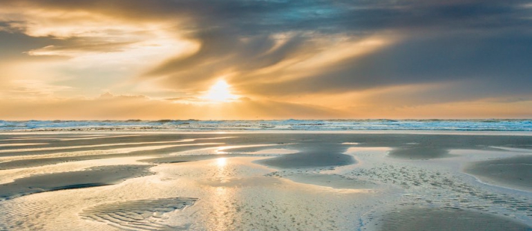 Oostende, stad aan zee. Stad in beweging.