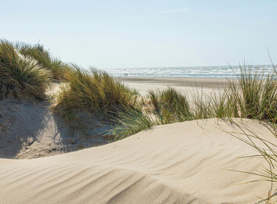 Wonen, investeren en genieten aan zee. Een plek met blijvende waarde cover