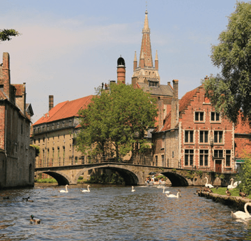Brugge en het Brugse ommeland. Tussen historische grandeur, groene rust en hedendaags wonen. cover